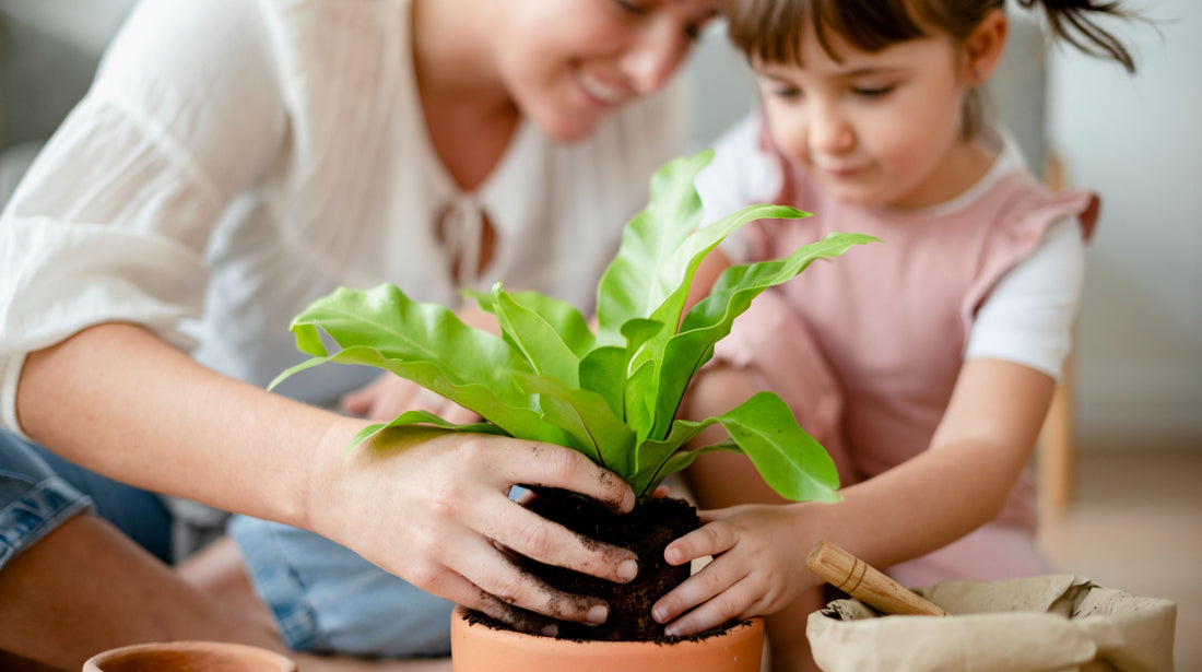 Nos amies les plantes toxiques