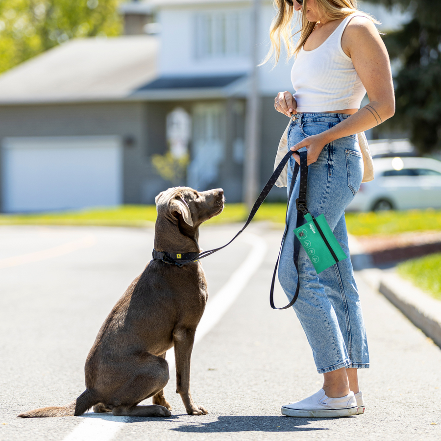 La pochette accrochée à la laisse du chien